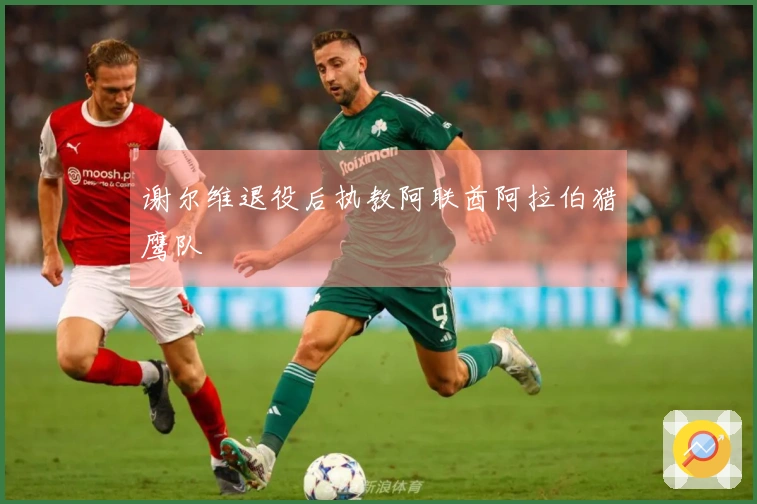 谢尔维退役后执教阿联酋阿拉伯猎鹰队