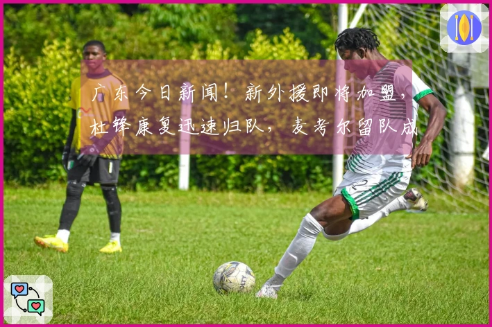 广东今日新闻！新外援即将加盟，杜锋康复迅速归队，麦考尔留队成疑
