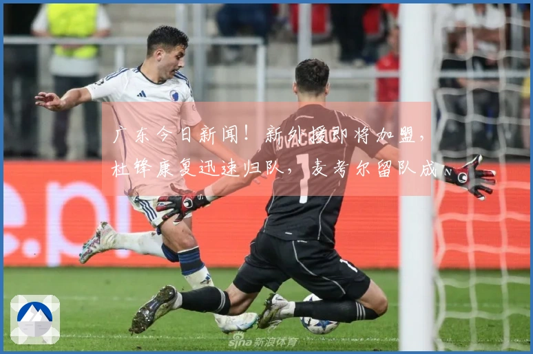 广东今日新闻！新外援即将加盟，杜锋康复迅速归队，麦考尔留队成疑